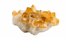 Citrien Citrien